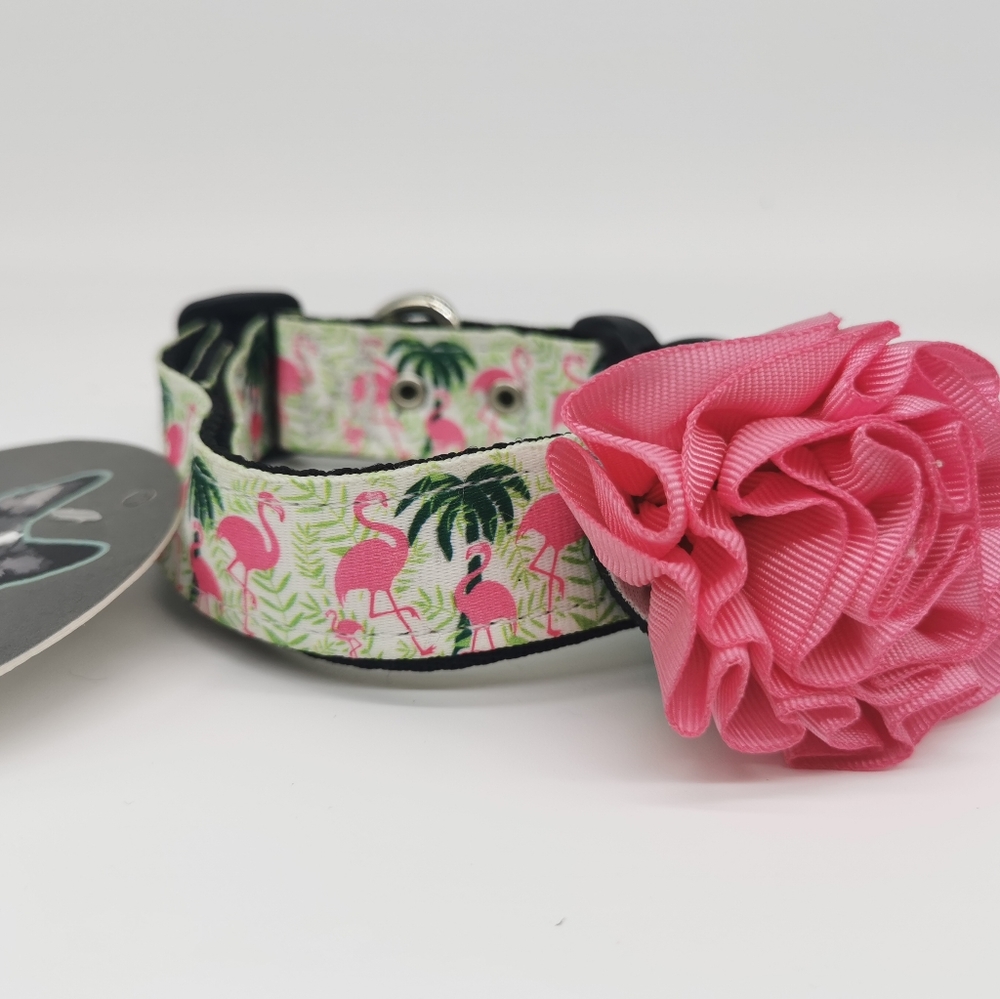 Miami Vibes Dog Collar